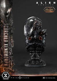 Museum Masterline XL Alien: Romulus Scorched Xenomorph Deluxe Version 34
