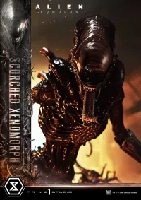 Prime 1 Studio Museum Masterline XL Alien: Romulus Scorched Xenomorph - Alien (Movie Franchise) - photo 47