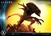 Prime 1 Studio Premium Masterline Aliens (Comics) Tusked Alien Bonus Version - Alien (Movie Franchise) - photo 56