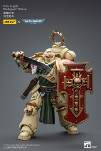 Dark Angels Bladeguard Veteran 2