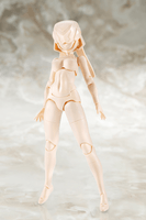 B1R-L CHASSIS KIT SKIN COLOR A 6