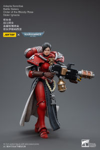Adepta Sororitas Battle Sisters Order of the Bloody Rose Sister Ignacia 9