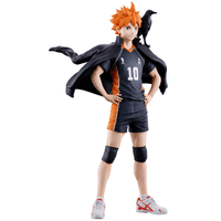 Shoyo Hinata (The Future of Karasuno) 8