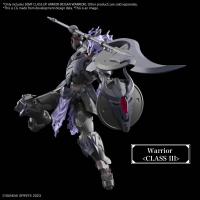 30MF CLASS UP ARMOR (ROSAN WARRIOR) 4