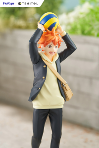 TENITOL HINATA SHOYO 3