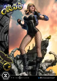 Prime 1 Studio Museum Masterline DC Comics Black Canary - DC Comics - photo 34