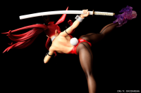 Erza Scarlet  HIGH KICKver. CRIMSON Bunny 9