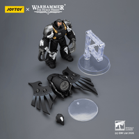 Raven Guard Dark Fury, Chooser of the Slain with Raven's Talon claws 6