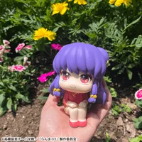 MegaHouse Lookup TV Anime Ranma 1／2  Shampoo - Ranma 1/2 - photo 6