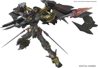 RG 1/144 #24 Gundam Astray Gold Frame Amatsu Mina 2