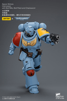 Space Wolves Intercessor with Bolt Rifle, Bolt Pistol and Chainsword 22