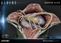Prime 1 Studio Premium Masterline Aliens (Comics) Warrior Alien DX Bonus Version - Alien (Movie Franchise) - photo 107