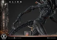 Prime 1 Studio Museum Masterline XL Alien: Romulus Scorched Xenomorph - Alien (Movie Franchise) - photo 19