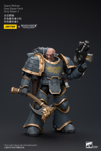 Space Wolves Grey Slayer Pack Grey Slayer3 6