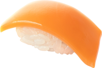 Sushi Plastic Model: Salmon(re-run) 1