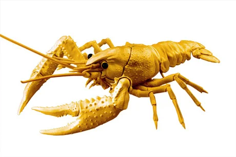 Fujimi [FI No.24 EX-5]  Biology Edition Crayfish (Gold) - Original Series