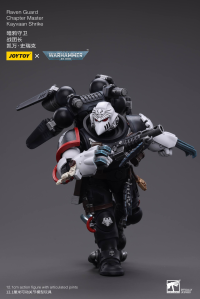 Raven Guard Chapter Master Kayvaan Shrike 5