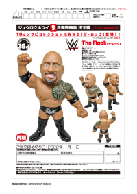 16d Collection 021: WWE The Rock(re-order) 8