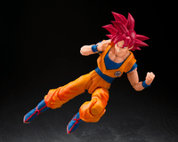 SUPER SAIYAN GOD SON GOKU 〈GOD AURA〉 "DRAGON BALL" 5