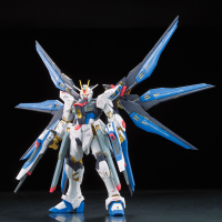RG 1/144 #14 ZGMF-X20A STRIKE FREEDOM GUNDAM 13