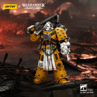 Imperial Fists Legion Apothecary 12