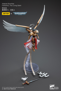 Adepta Sororitas Celestine, The Living Saint 9