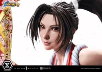 Prime 1 Studio Real Elite Masterline THE KING OF FIGHTERS '98 MAI SHIRANUI - The King of Fighters - photo 9