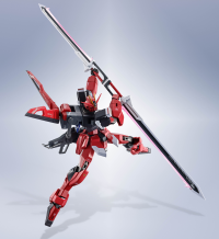 <SIDE MS>SWORD IMPULSE GUNDAM SPECⅡ "GUNDAM", TAMASHII NATIONS METAL ROBOT SPIRITS 2