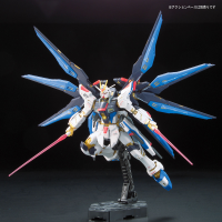 RG 1/144 #14 ZGMF-X20A STRIKE FREEDOM GUNDAM 8