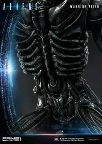 Prime 1 Studio Premium Masterline Aliens (Comics) Warrior Alien DX Bonus Version - Alien (Movie Franchise) - photo 6
