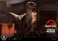 Prime Collectible Figures  Jurassic Park (Film)  Velociraptor  Closed Mouth 35
