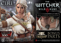 Museum Masterline The Witcher 3: Wild Hunt Ciri Fiona Elen Riannon Bonus Version 1