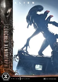 Prime 1 Studio Museum Masterline XL Alien: Romulus Scorched Xenomorph - Alien (Movie Franchise) - photo 45