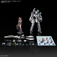 HG 1/100 VF-31F SIEGFRIED (MESSER IHLEFELD USE) Deluxe Set 1