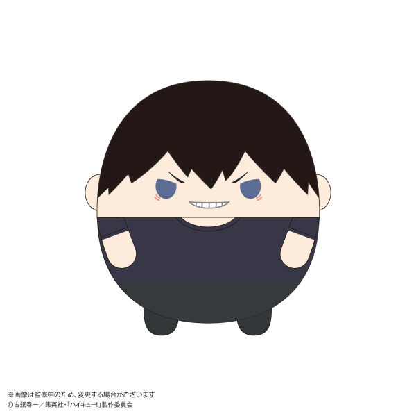 Haikyu!! FUWA KORORIN Ｍsize 10 (Item A)