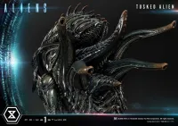 Prime 1 Studio Premium Masterline Aliens (Comics) Tusked Alien Bonus Version - Alien (Movie Franchise) - photo 17