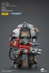 Grey Knights Strike Squad Grey Knight with Psilencer 1
