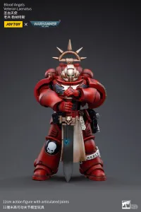 JOYTOY Blood Angels Veteran Laenatus - Warhammer 40K - photo 1