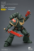 Dark Angels Intercessor with Bolt Rifle, Bolt Pistol and Chainsword 24