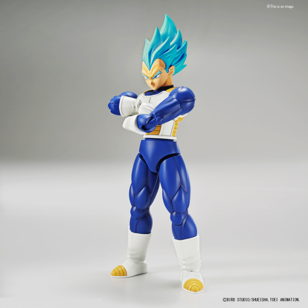 Figure-rise Standard - Super Saiyan God Super Saiyan Vegeta