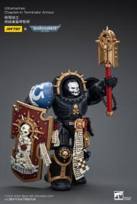 Ultramarines Chaplain in Terminator Armour 9