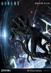 Prime 1 Studio Premium Masterline Aliens (Comics) Warrior Alien DX Bonus Version - Alien (Movie Franchise) - photo 3