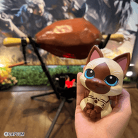 Lookup MONSTER HUNTER Airou 5