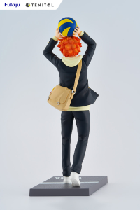 TENITOL HINATA SHOYO 11