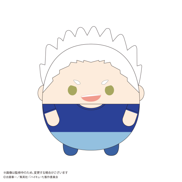 Haikyu!! FUWA KORORIN BIG 10 (Item C)