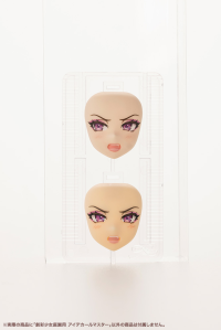 EYE DECAL MASTER FOR SOUSAISHOJOTEIEN 4