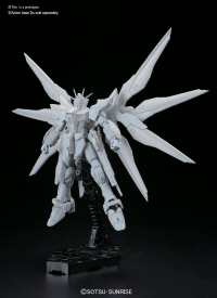 RG 1/144 #14 ZGMF-X20A STRIKE FREEDOM GUNDAM 2