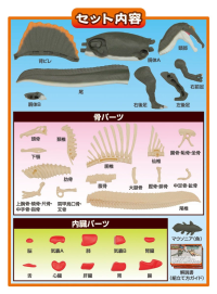 Spinosaurus Puzzle , Megahouse Kaitai Puzzle 14