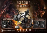 Prime 1 Studio Museum Masterline XL Alien: Romulus Scorched Xenomorph - Alien (Movie Franchise) - photo 1