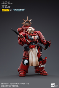 Blood Angels Veteran Laenatus 3